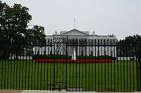 Back Yard of the White House