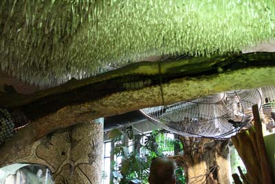 That's Josh Inside One of the Tube at City Museum